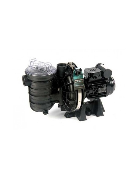 Pompe de filtration STA RITE S5P2R eau salée - 1,5 cv mono